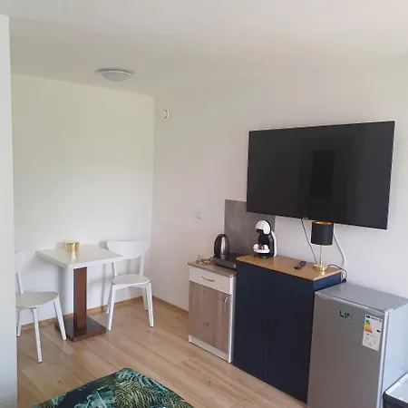 Goscinne Martyna ホームステイ