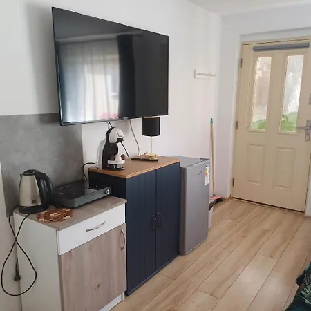 ホームステイ Goscinne Martyna *